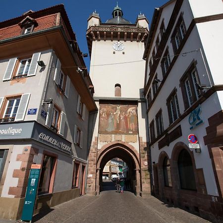 Le Rhenanus Jacques Spiegel - Ideal Pour Un Couple - Appartement Au Calme - Parking Gratuit Selestat Exterior photo