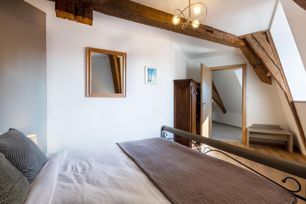 Le Rhenanus Jacques Spiegel - Ideal Pour Un Couple - Appartement Au Calme - Parking Gratuit Selestat Exterior photo
