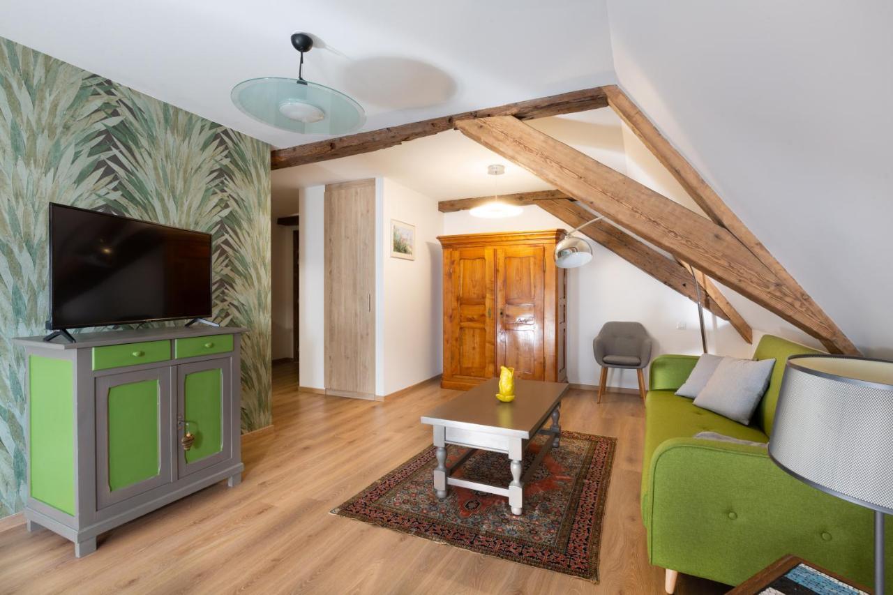 Le Rhenanus Jacques Spiegel - Ideal Pour Un Couple - Appartement Au Calme - Parking Gratuit Selestat Exterior photo
