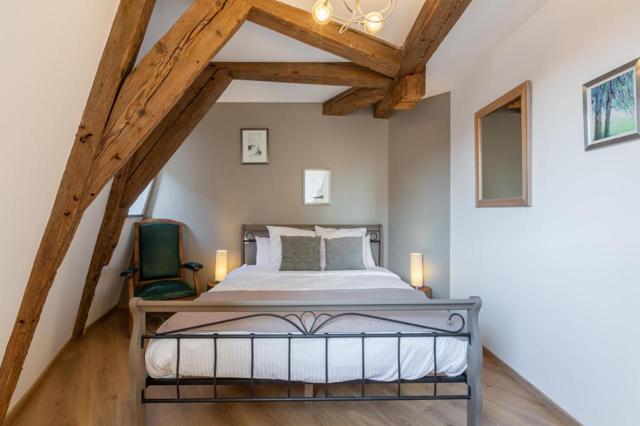 Le Rhenanus Jacques Spiegel - Ideal Pour Un Couple - Appartement Au Calme - Parking Gratuit Selestat Exterior photo