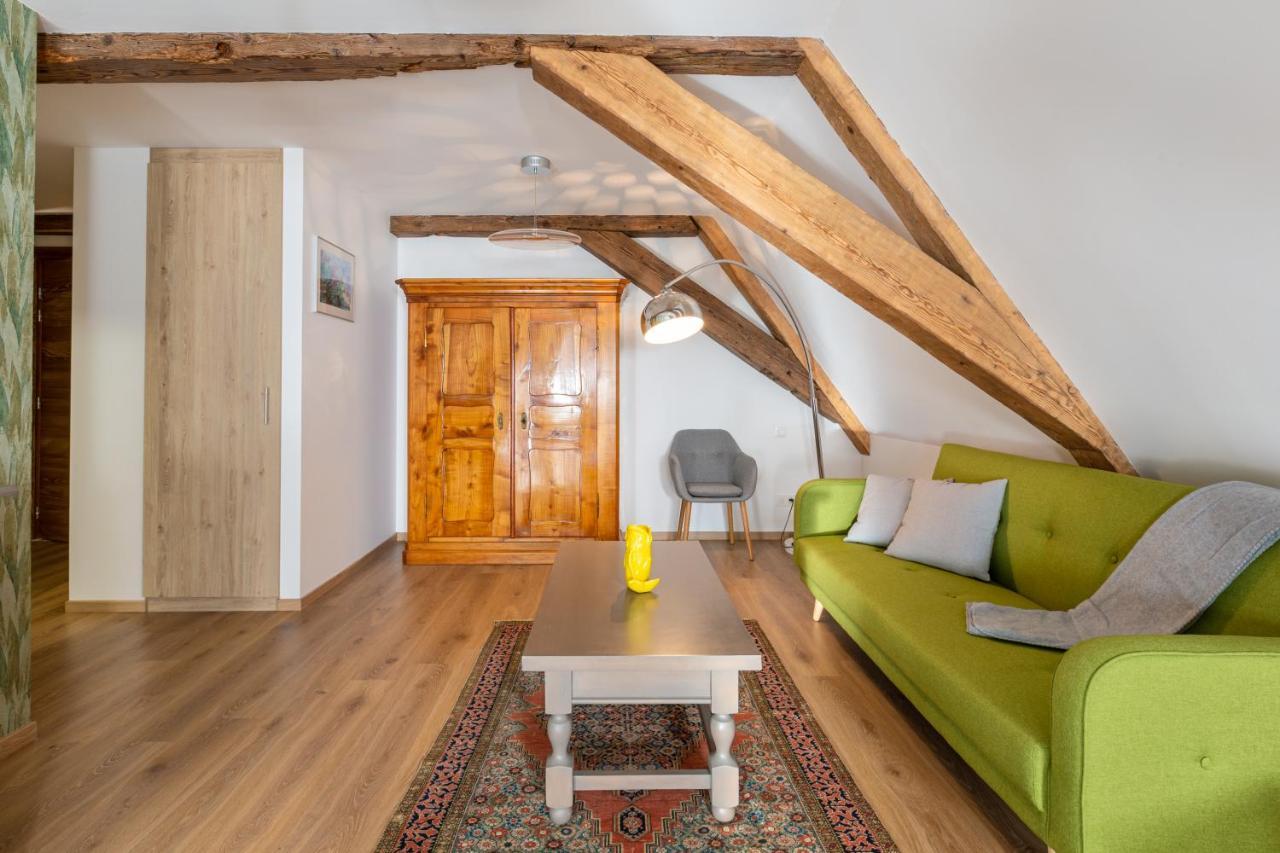 Le Rhenanus Jacques Spiegel - Ideal Pour Un Couple - Appartement Au Calme - Parking Gratuit Selestat Exterior photo