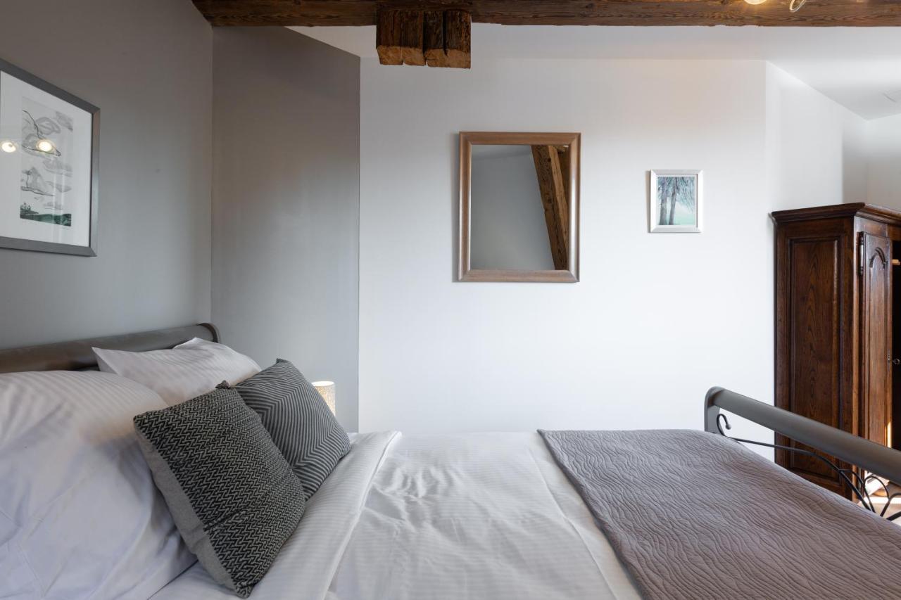 Le Rhenanus Jacques Spiegel - Ideal Pour Un Couple - Appartement Au Calme - Parking Gratuit Selestat Exterior photo