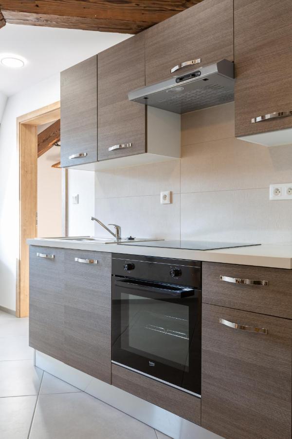 Le Rhenanus Jacques Spiegel - Ideal Pour Un Couple - Appartement Au Calme - Parking Gratuit Selestat Exterior photo